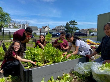 Washington Avenue School Garden and Culinary Club Salad Day