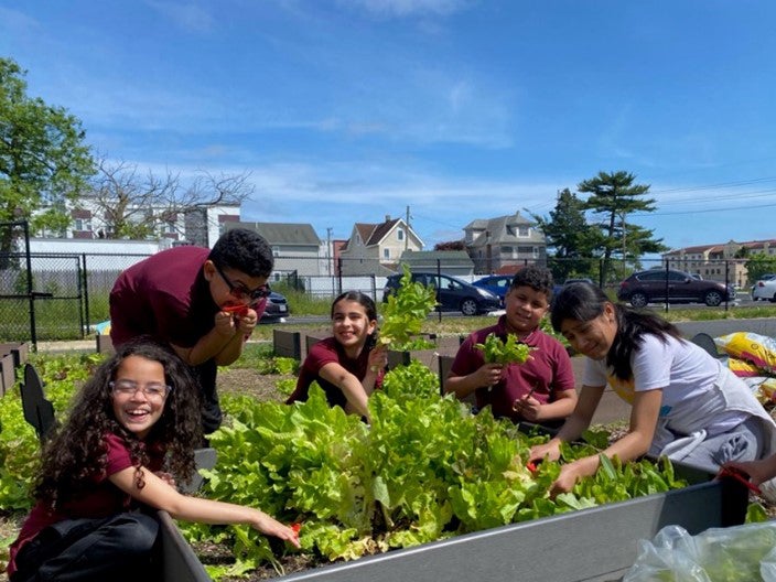 Nutrition Grants