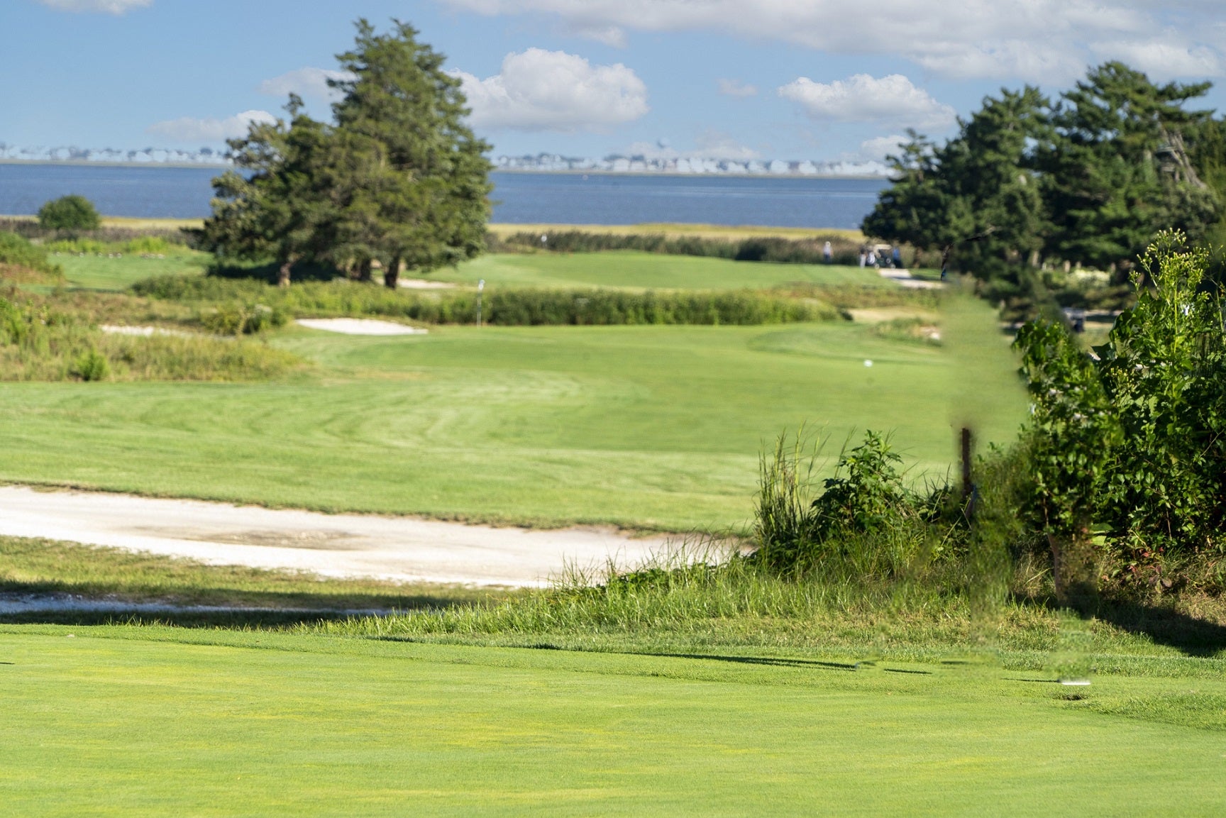 views from the fairways
