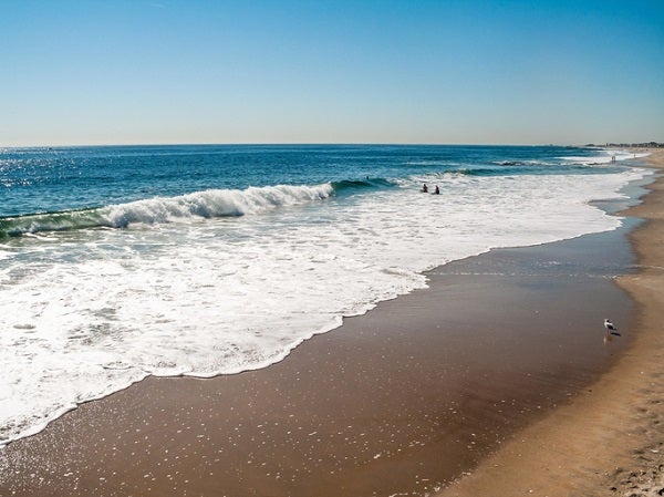 New Jersey shoreline