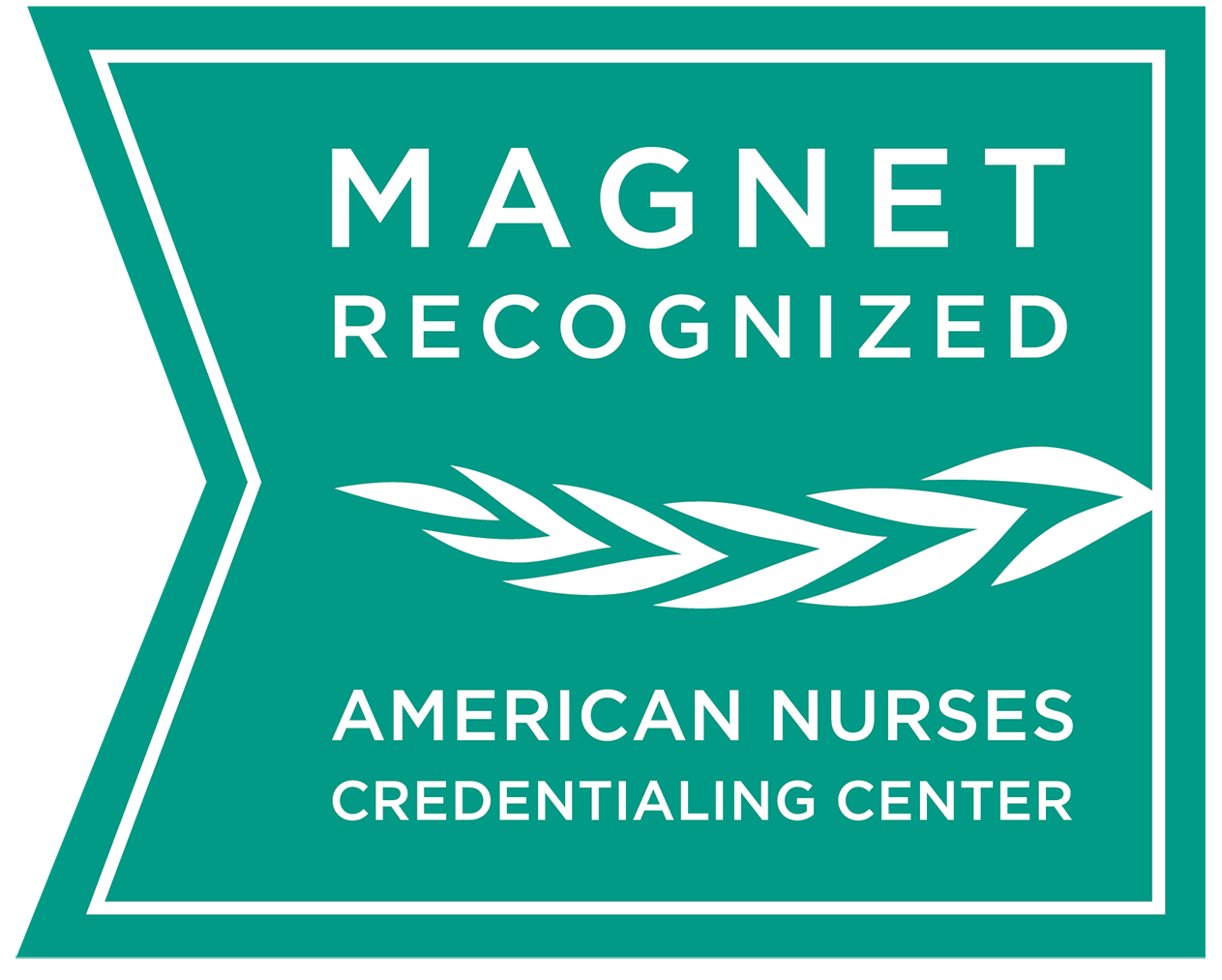 Magnet Recognized